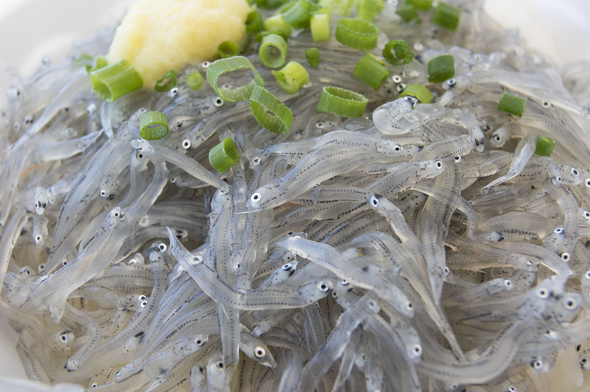 生しらすの美味しい食べ方！定番の生しらす丼から変わったレシピまで お食事ウェブマガジン「グルメノート」