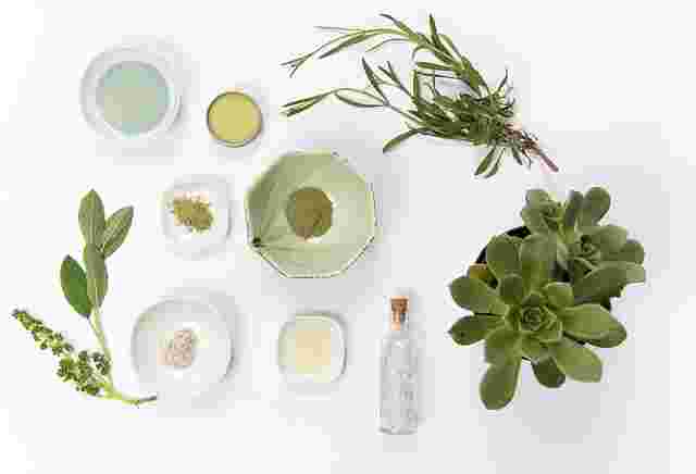 ハーブとオリーブオイルと皿に小分けにされた植物の粉末