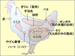 ソリレスは焼き鳥のどこの部位?鶏肉の希少部位「ソリレス」 を徹底解説 | お食事ウェブマガジン「グルメノート」