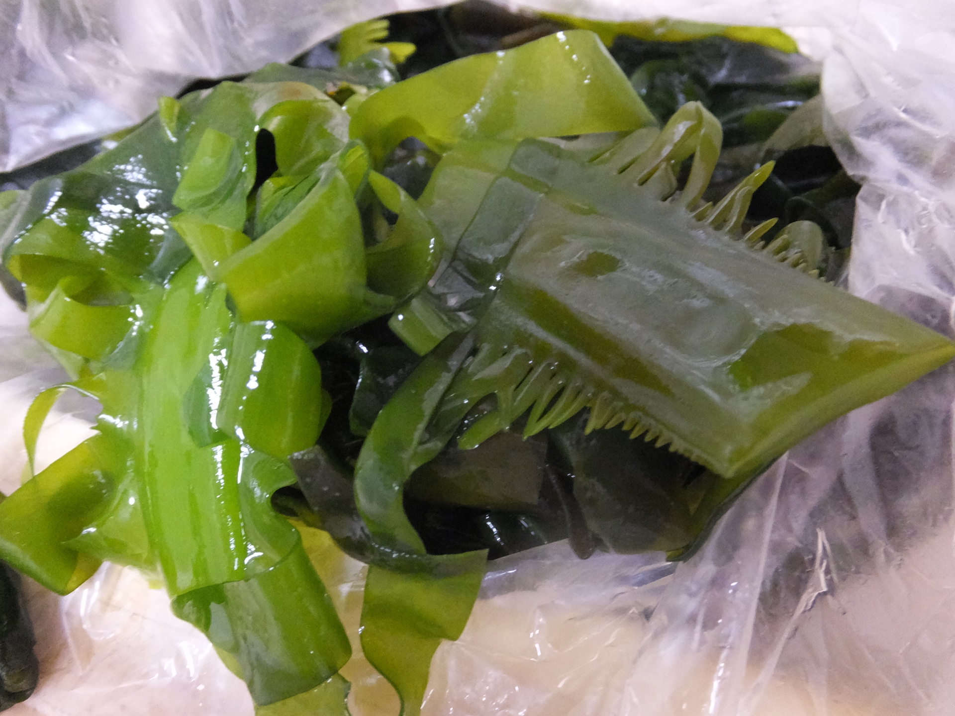 生わかめの美味しい食べ方まとめ！茹で方や保存の方法も解説！ お食事ウェブマガジン「グルメノート」