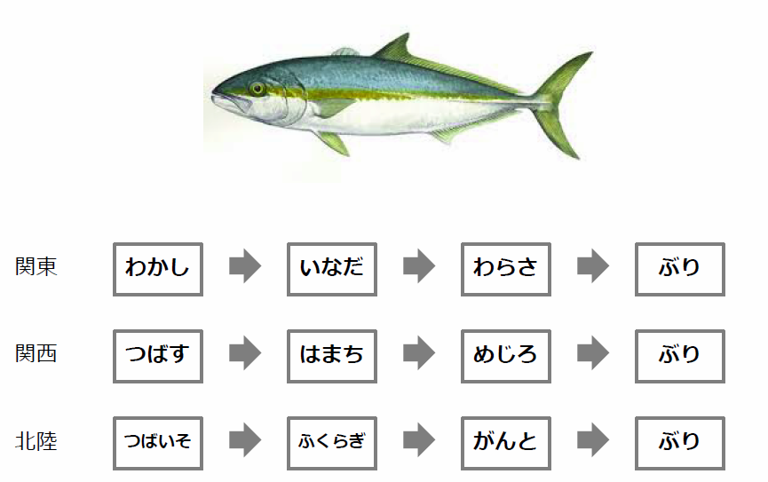 イナダが美味しく食べられるレシピ！捌き方も併せて解説！ お食事ウェブマガジン「グルメノート」