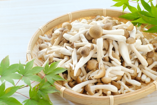 しめじは生で食べられる？保存方法や加熱時間・人気レシピも紹介 | お食事ウェブマガジン「グルメノート」
