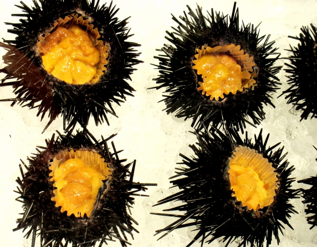 ウニの中身の正体は何?食べられる部位と見極め方について紹介 | お食事ウェブマガジン「グルメノート」