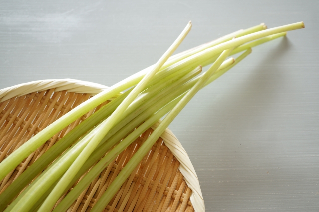 ふきの種類を紹介！収穫や食べるときの注意点からおすすめレシピまで | お食事ウェブマガジン「グルメノート」