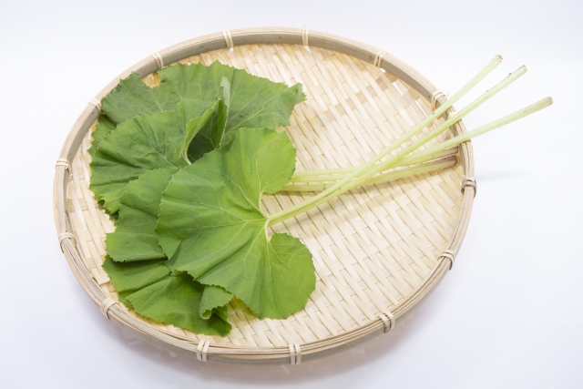ふきの種類を紹介！収穫や食べるときの注意点からおすすめレシピまで | お食事ウェブマガジン「グルメノート」