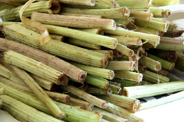 ふきの種類を紹介！収穫や食べるときの注意点からおすすめレシピまで | お食事ウェブマガジン「グルメノート」