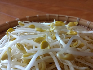大豆もやしは栄養価と効果効能がすごい 緑豆 枝豆との違いを比較 お食事ウェブマガジン グルメノート