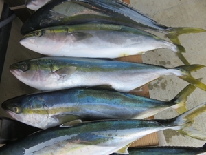 ぶりの栄養価 成分と効果効能は おすすめの調理方法や食べ方も紹介 お食事ウェブマガジン グルメノート