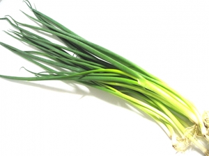 ネギの種類とそれぞれの特徴を一覧で紹介 品種の名前や産地も調査 お食事ウェブマガジン グルメノート