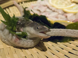 うなぎの刺身がない理由は 浜松の新名物が食べられるお店も紹介 お食事ウェブマガジン グルメノート