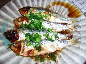 サッパの特徴や美味しい食べ方を解説 臭くならない酢漬けのやり方もご紹介 お食事ウェブマガジン グルメノート