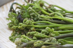 わらびのあく抜き方法を小麦粉 重曹別に紹介 栄養や美味しい食べ方も お食事ウェブマガジン グルメノート