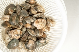 あさりを冷凍保存 解凍する方法 常温や冷蔵での保存期間は お食事ウェブマガジン グルメノート