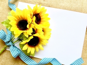 100均3社の色紙おすすめ一覧 寄せ書きで使えるシールやアレンジ例も紹介 お食事ウェブマガジン グルメノート