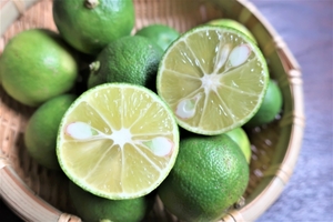 すだちの効果効能まとめ すだちの皮にも栄養が 活用レシピも紹介 お食事ウェブマガジン グルメノート すだちの効果効能まとめ すだちの皮にも栄養が 活用レシピも紹介 お食事ウェブマガジン グルメノート