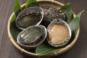 アワビの旬の時期はいつ アワビの種類と選び方 おいしいレシピも紹介 お食事ウェブマガジン グルメノート