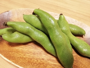 そら豆を食べ過ぎるとどうなる カロリーや糖質 栄養素もチェック お食事ウェブマガジン グルメノート