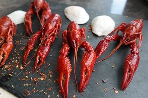 ザリガニを食べるときの下処理や調理方法を解説 おすすめレシピも お食事ウェブマガジン グルメノート