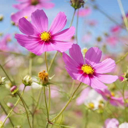 住宅ローンの審査に落ちる確率はどれくらい 通らない理由や期間についても解説 イエテク