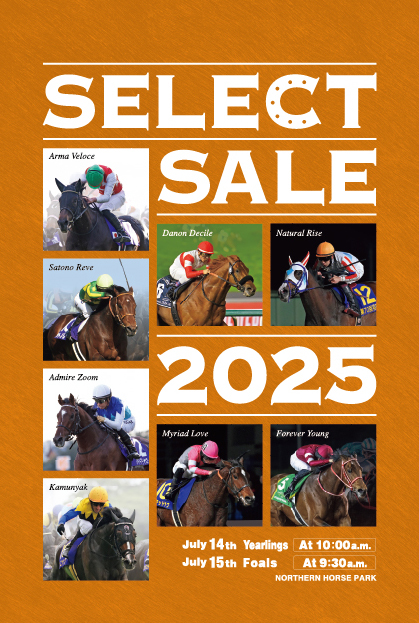 Catalogue