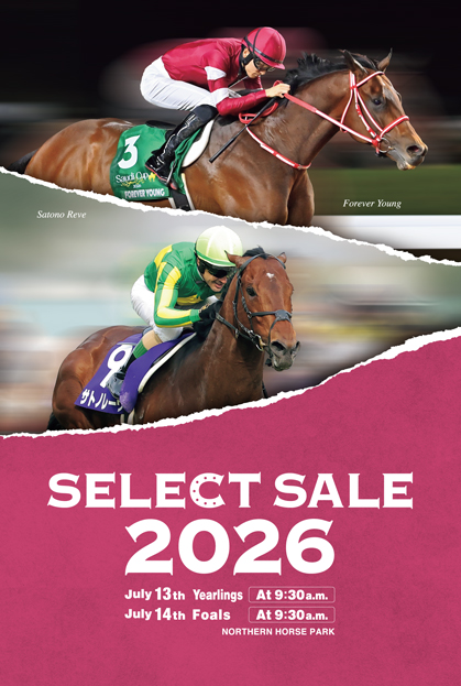 Catalogue