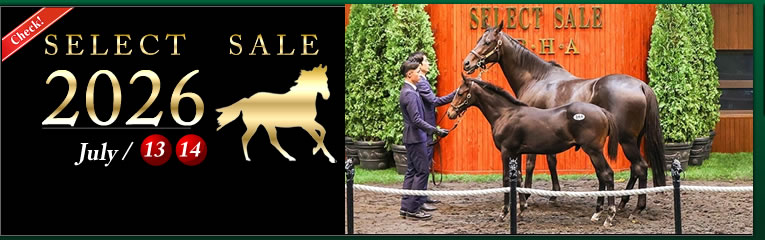 SELECT SALE