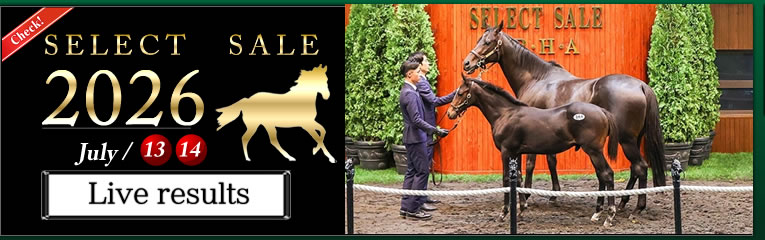 SELECT SALE