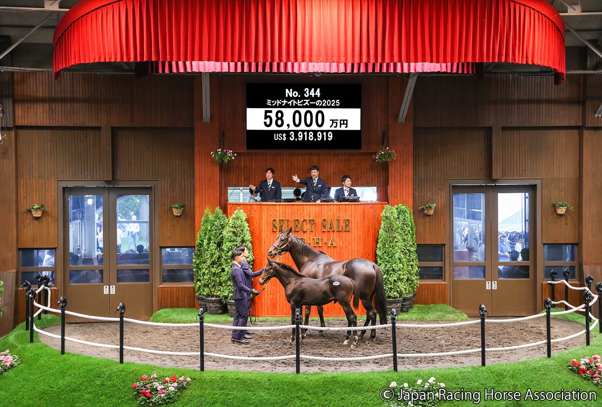 coming soon    8/10 19時値段変更　14000円 WHAT'S NEW 新着情報 - JRHA（一般社団法人 日本競走馬協会）