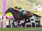 SELECT SALE GRADE RACE WINNER