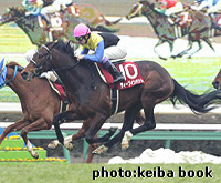 【DVD】JRA（1988年～2004年全重賞、2005年～2010年G1） Amazon.co.jp: 中央競馬G1レース1989 総集編 (低価格化) [DVD] : DVD