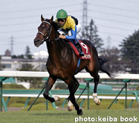 ディープインパクト号　Deep Impact