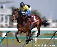 ディープインパクト号　Deep Impact