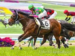 JAPAN RACING HORSE ASSOCIATION 一般社団法人 日本競走馬協会