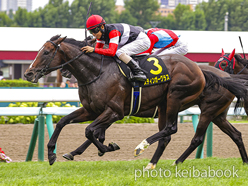 第拾五回競馬番組　福島県産馬組合聯合会　競馬場　　明治44年　開成山　広告 開成山特別(1勝クラス) 結果・払戻 | 2023年7月1日 福島9R