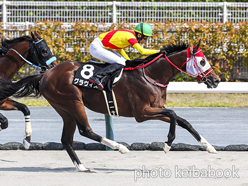 グラヴィス号