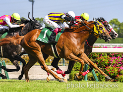 SELECT SALE GRADE RACE WINNER