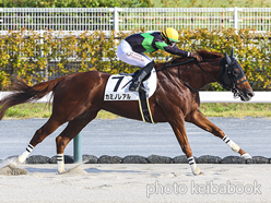 Camino Real