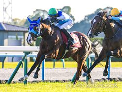 SELECT SALE GRADE RACE WINNER