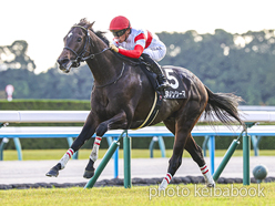 ダノンシーマ号