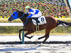 ウィングブルー号