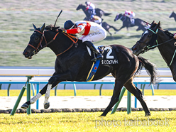 ダノンフェアレディ号