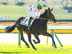 ミッキーダムール号