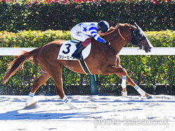 スリーピース号