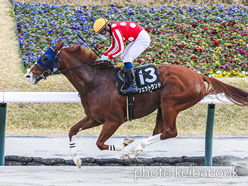 シェットランド号