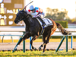 ジュンヴァンケット号