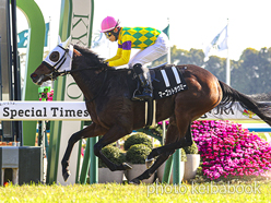 マーゴットラヴミー号