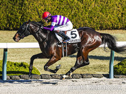 ゴールデンバランス号