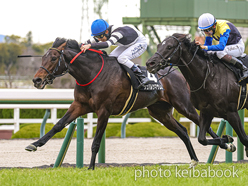 シュバルツマサムネ号