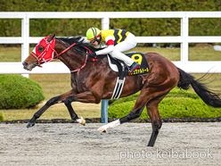 ルシュヴァルドール号