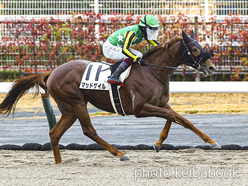 マッドゲイル号